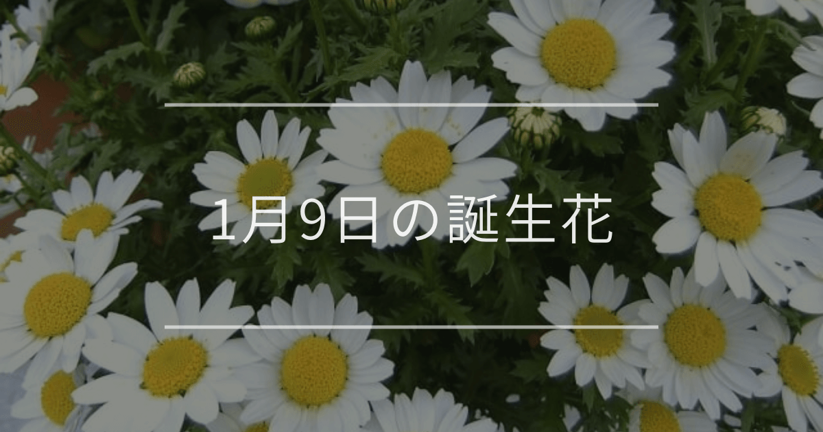 1月9日の誕生花