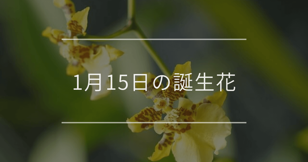 1月15日の誕生花