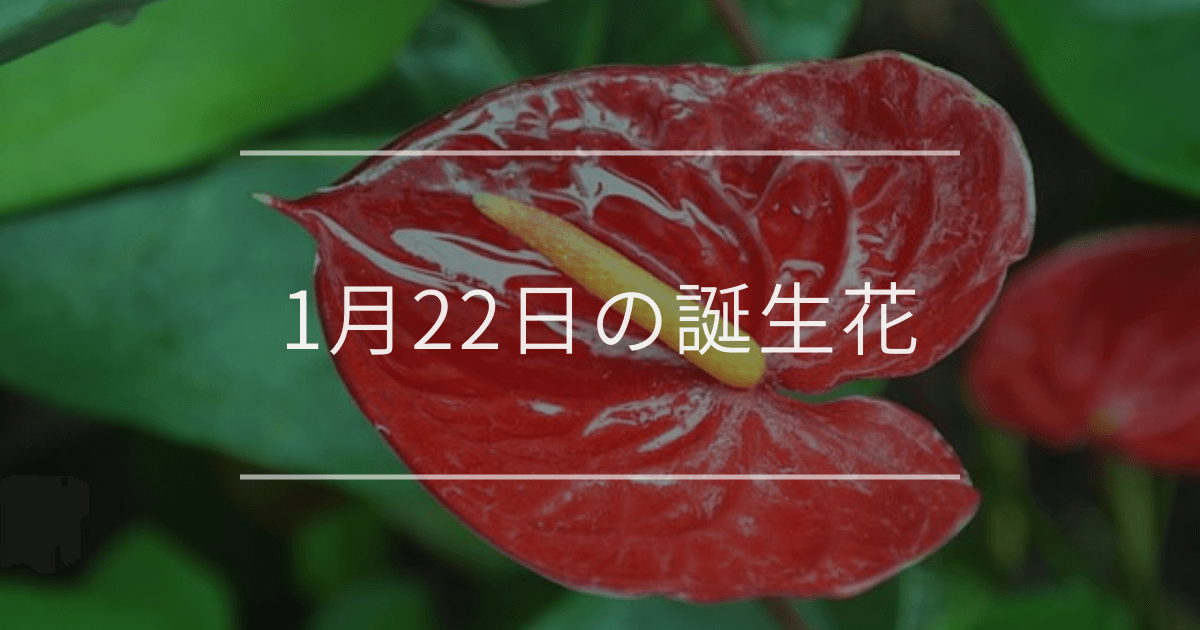 1月22日の誕生花
