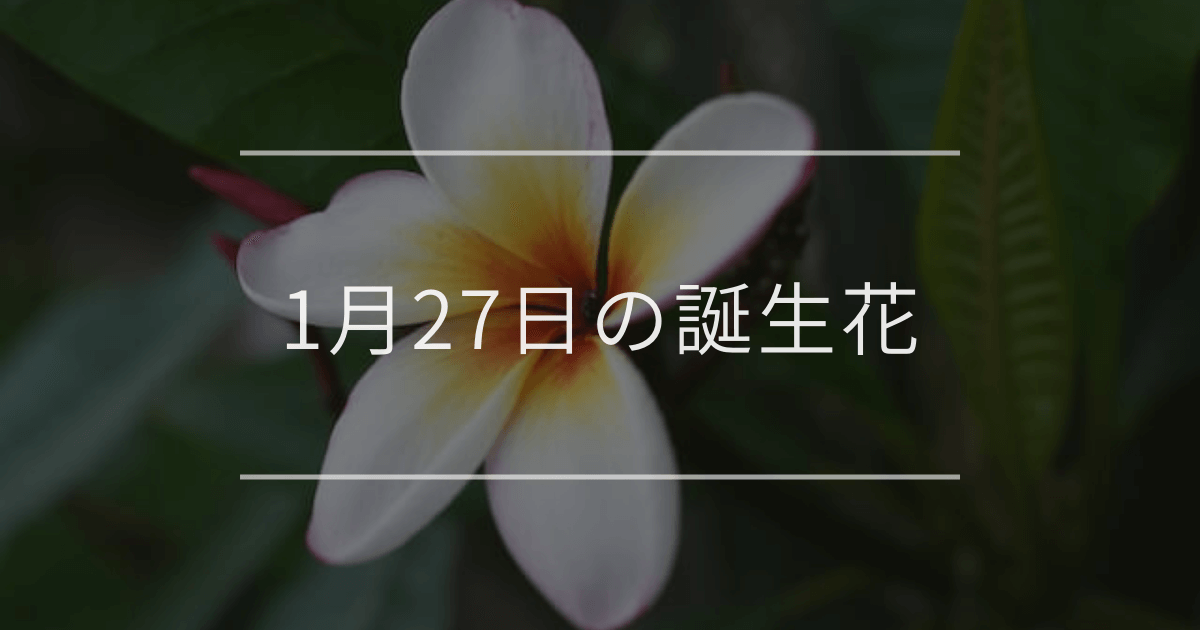 1月27日の誕生花