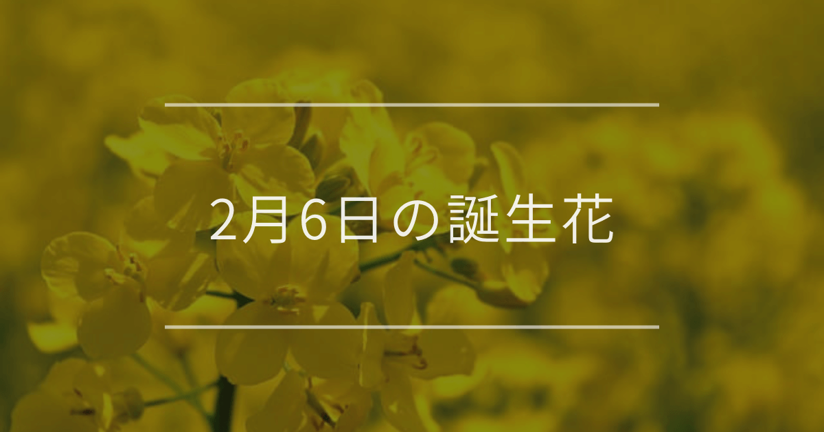 2月6日の誕生花