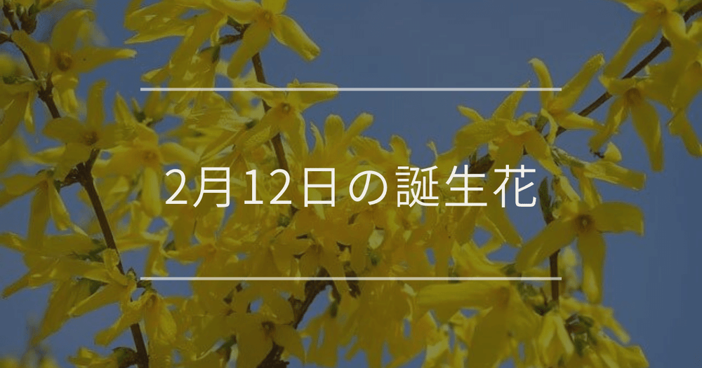 2月12日の誕生花：レンギョウ・マンサクの花言葉など