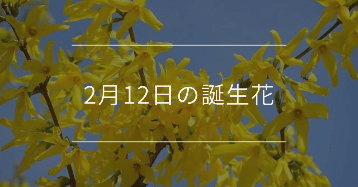 2月12日の誕生花