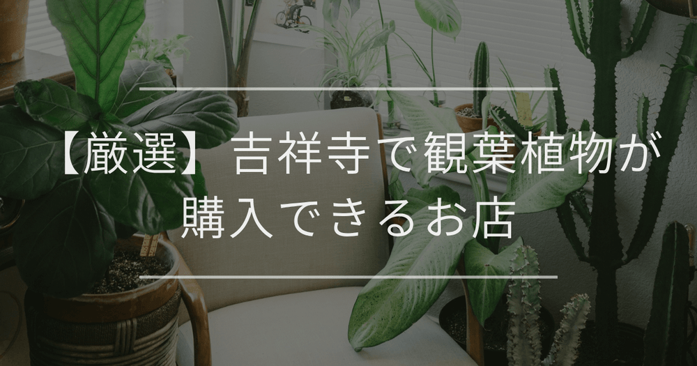 【厳選】吉祥寺で観葉植物が購入できるお店