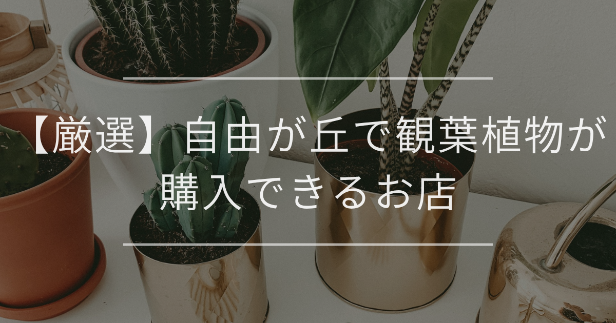 【厳選】自由が丘で観葉植物が購入できるお店