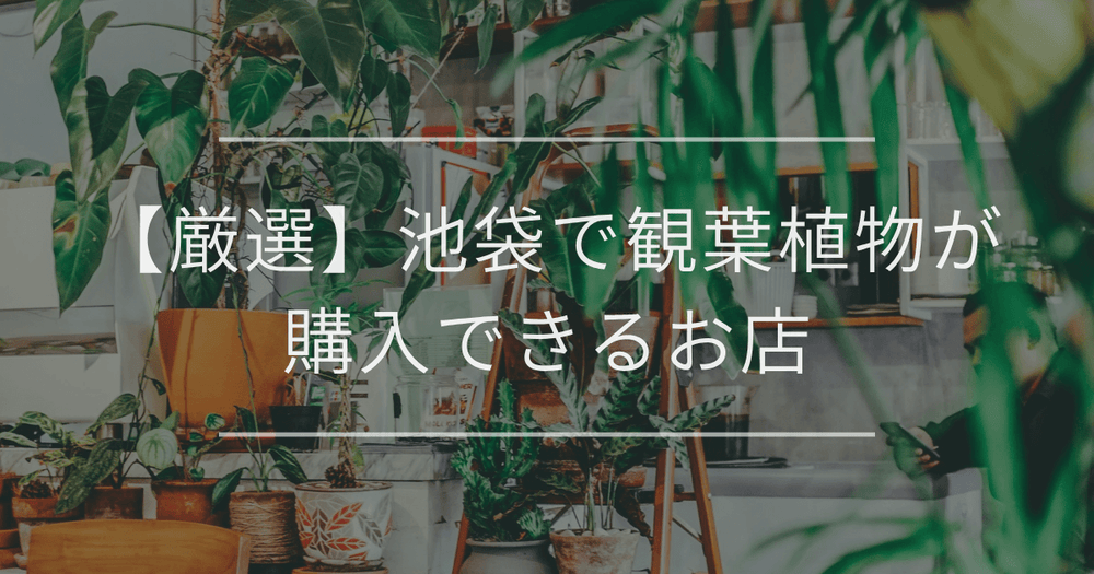 【厳選】池袋で観葉植物が購入できるお店