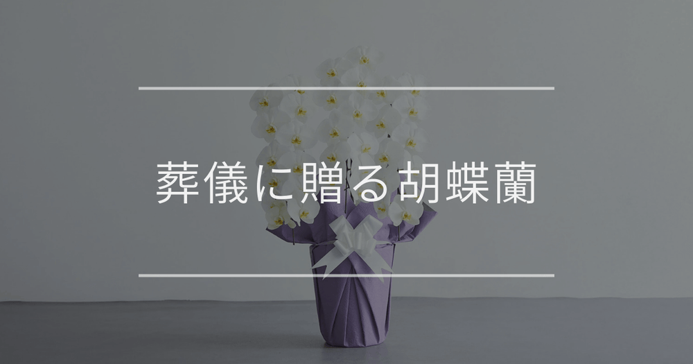 葬儀に贈る胡蝶蘭｜マナーと注意点