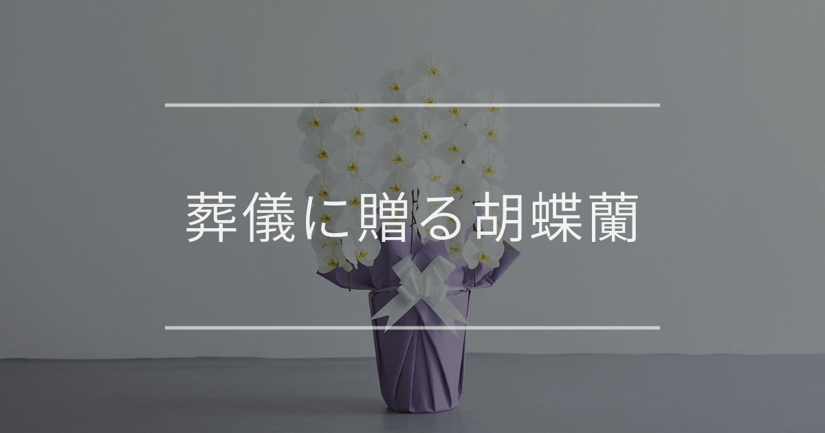 葬儀に贈る胡蝶蘭｜マナーと注意点
