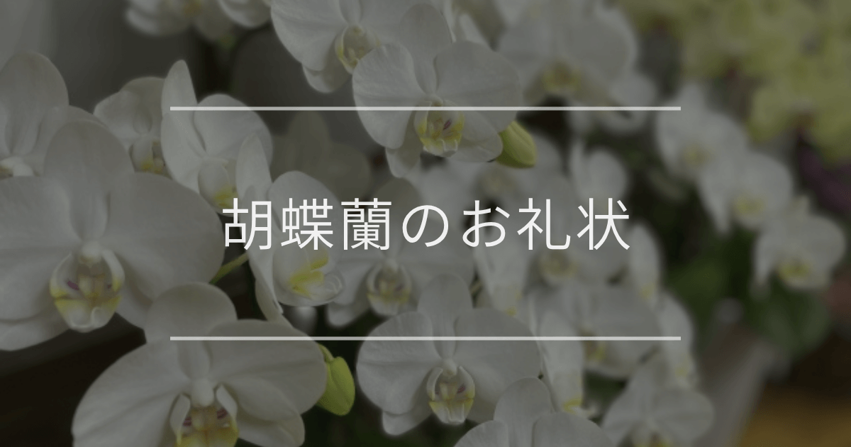 胡蝶蘭のお礼状テンプレートと注意点