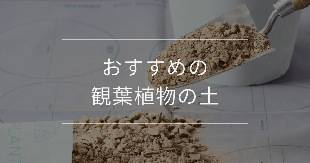 おすすめの観葉植物の土｜選び方や配合を徹底解説
