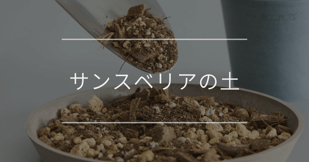 サンスベリアの土｜配合と作り方