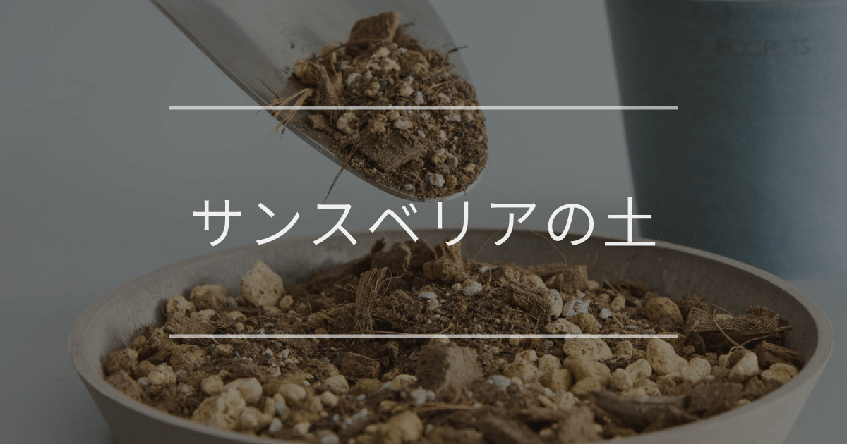 サンスベリアの土｜配合と作り方