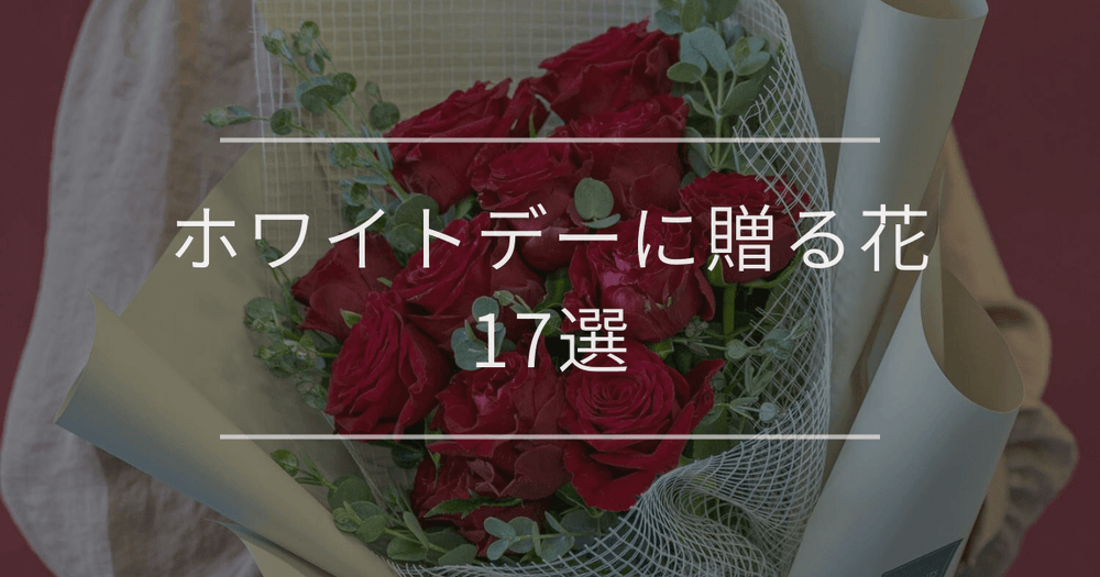 ホワイトデーに贈る花17選｜花言葉からおすすめの花を紹介
