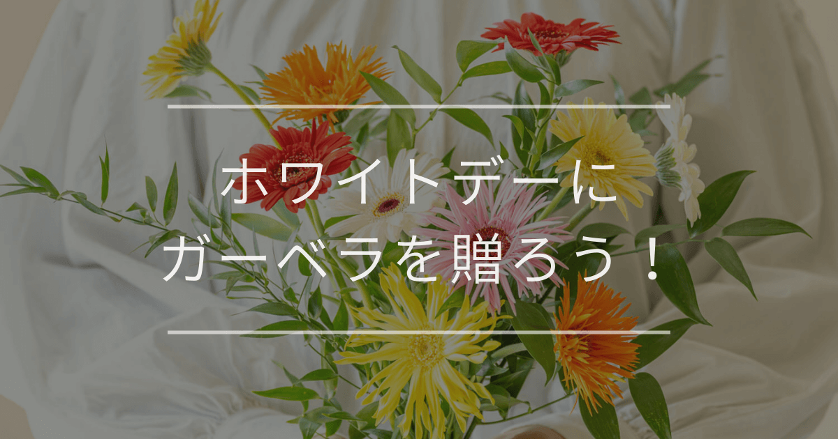 ホワイトデーにガーベラを贈ろう！ガーベラの花言葉も解説