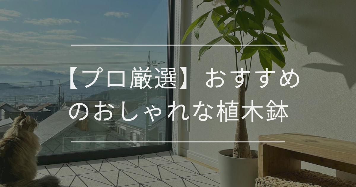 【プロ厳選】おすすめのおしゃれな植木鉢を徹底解説