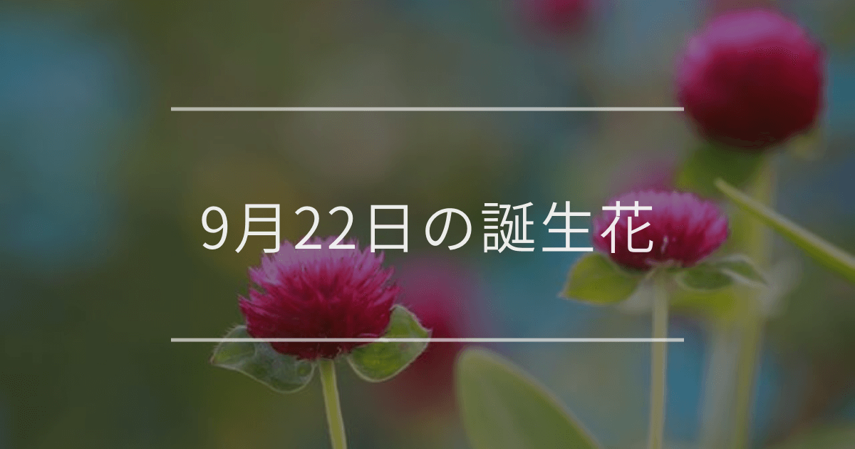 9月22日の誕生花