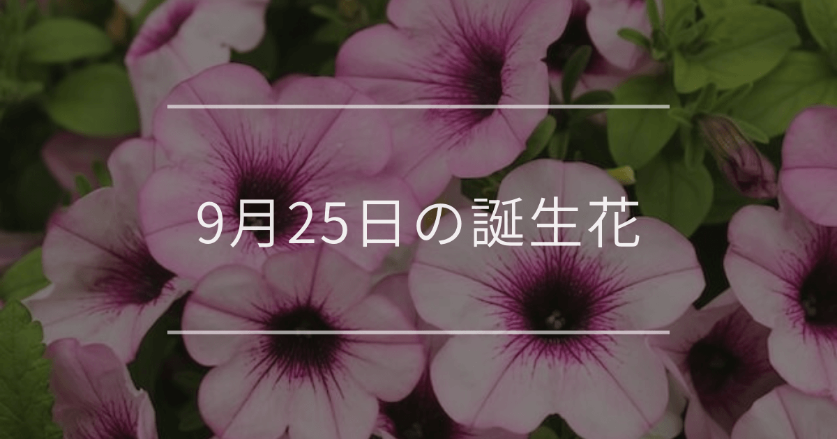 9月25日の誕生花