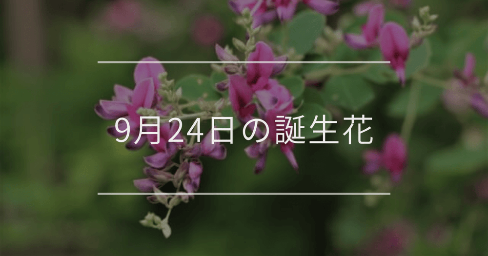 9月24日の誕生花：ハギ・ブドウの花言葉など