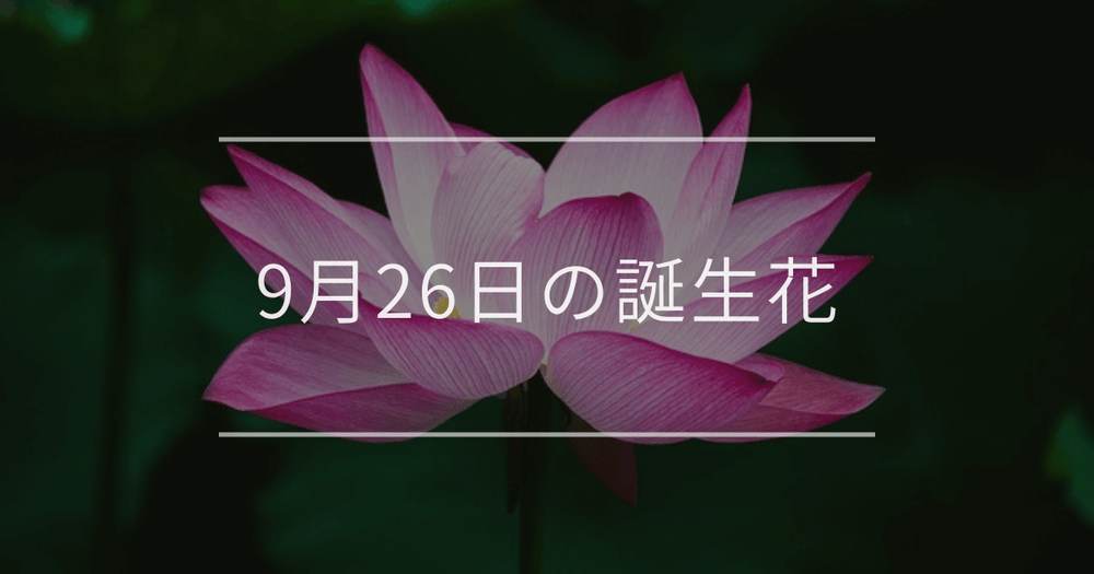 9月26日の誕生花：ハス・ポーチュラカの花言葉など