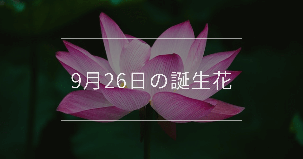 9月26日の誕生花