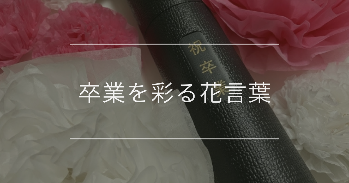 卒業を彩る花言葉｜先生や先輩への感謝を込めて