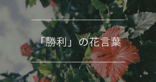 「勝利」の花言葉｜頑張る人へのプレゼントや開店祝いにおすすめの植物