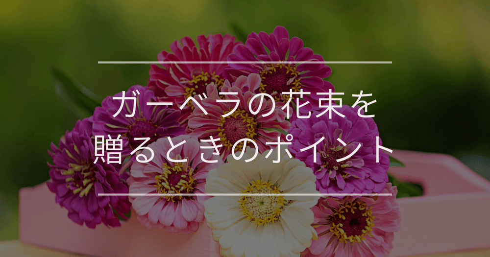 ガーベラの花束を贈るときのポイント｜花言葉や色別の意味を解説