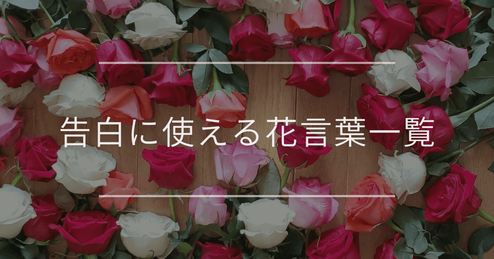 告白に使える花言葉一覧｜贈りたい相手のイメージ別20選