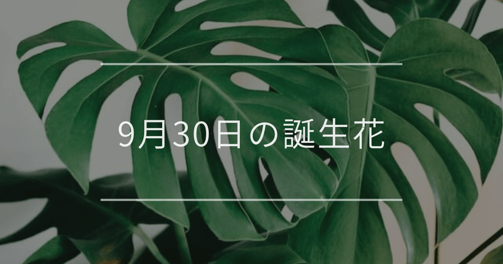9月30日の誕生花：モンステラ・ゼフィランサスの花言葉など