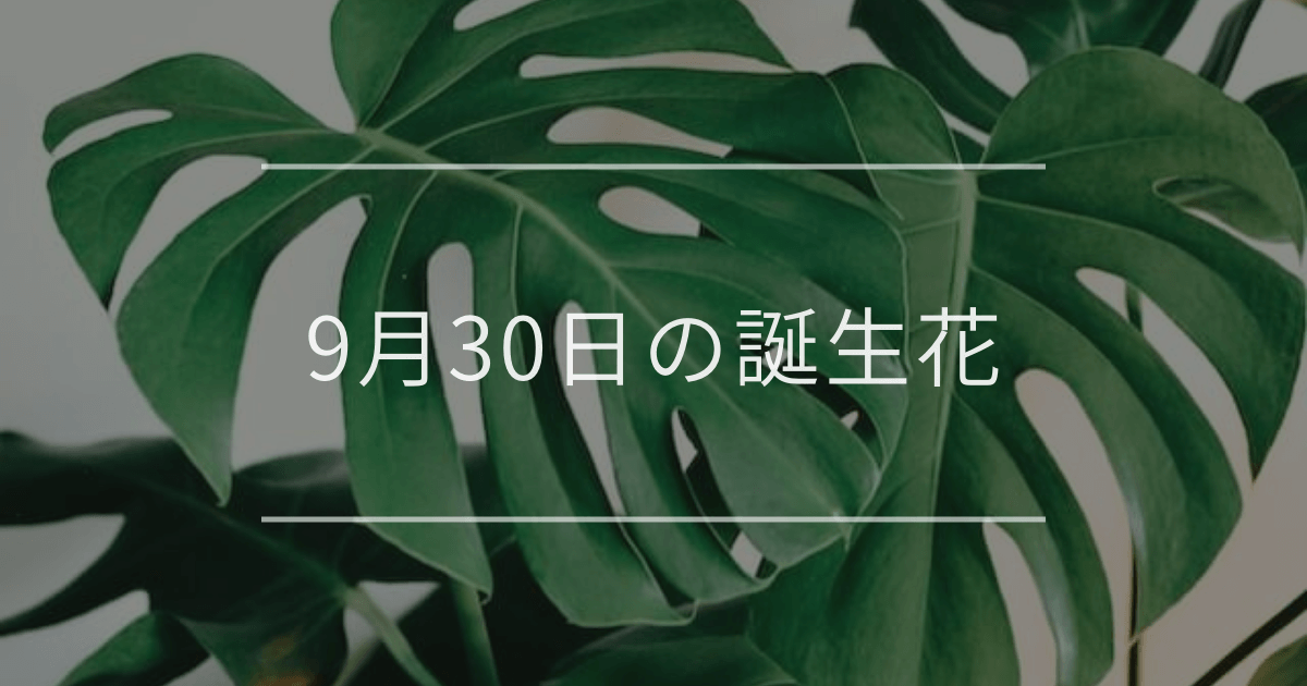 9月30日の誕生花