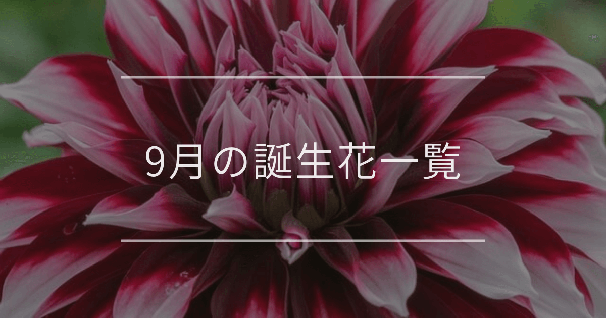 9月の誕生花一覧