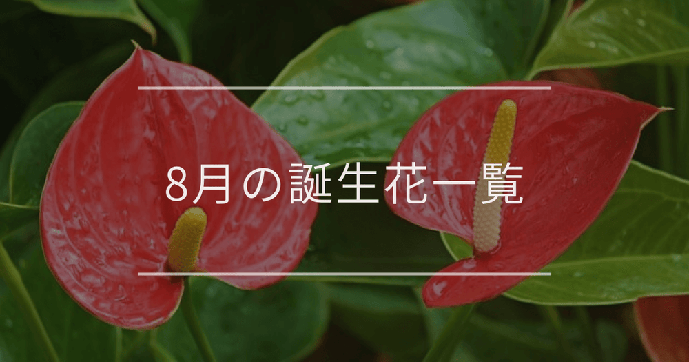 8月の誕生花一覧｜誕生月と誕生日の花言葉