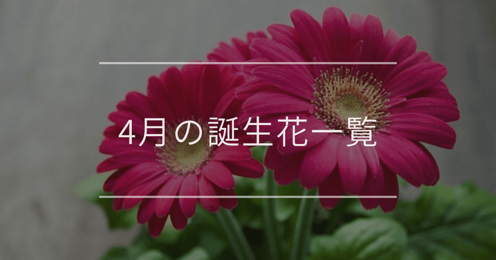 4月の誕生花一覧｜誕生月と誕生日の花言葉