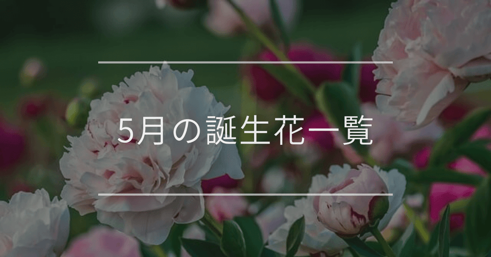 5月の誕生花一覧｜誕生月と誕生日の花言葉