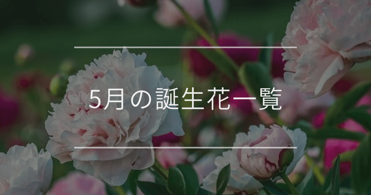 ５月の誕生花一覧