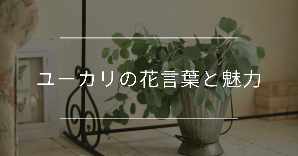 ユーカリの花言葉と魅力