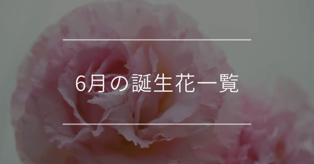 6月の誕生花一覧｜誕生月と誕生日の花言葉