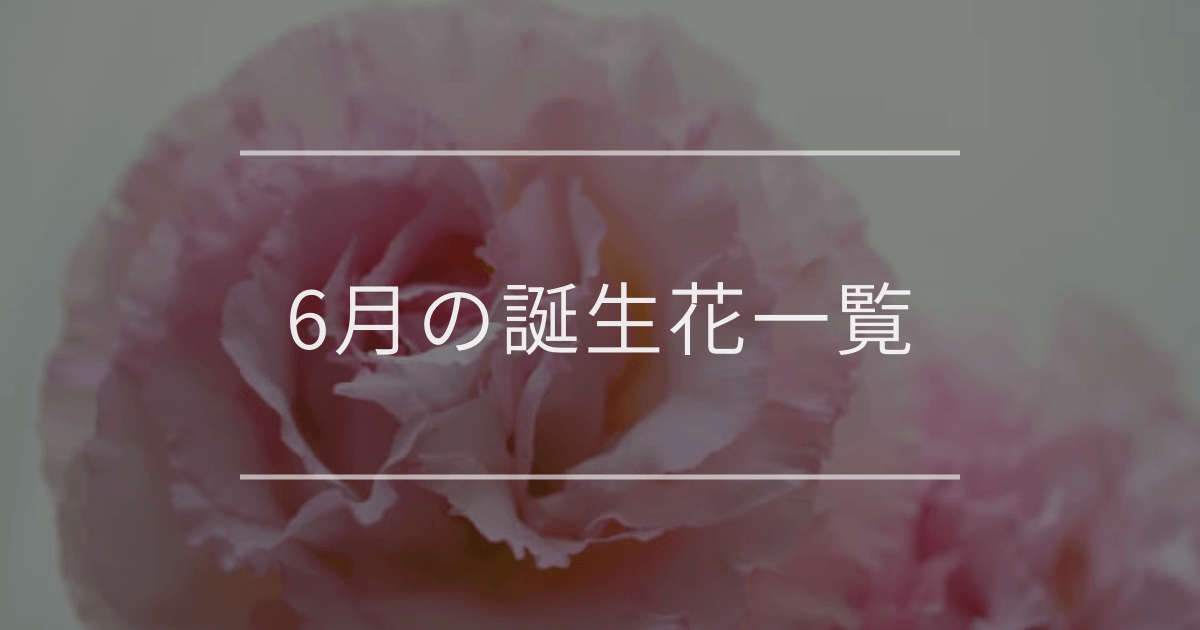6月の誕生花一覧