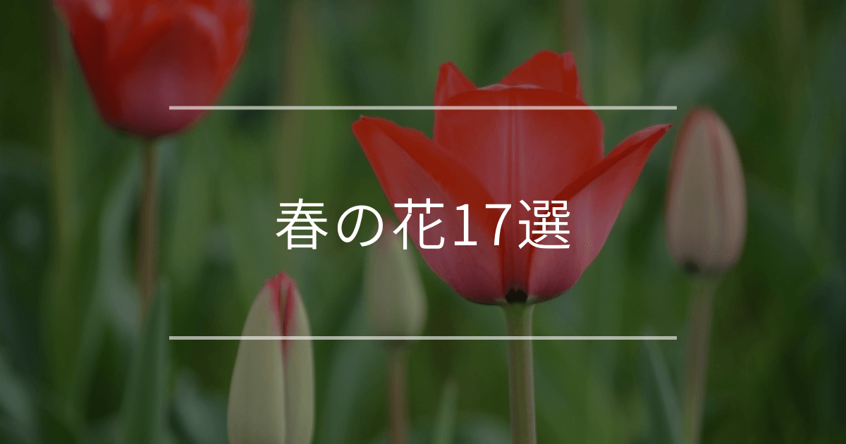 春の花17選