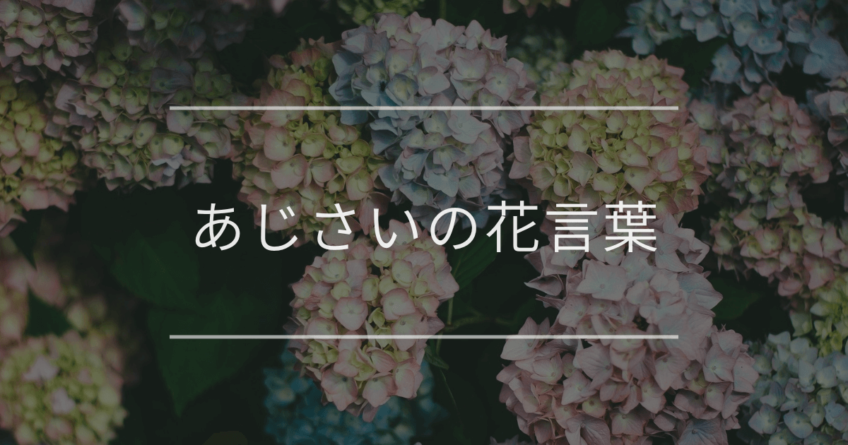 あじさいの花言葉｜母の日やプレゼント、結婚式に使えるいい意味の花言葉と由来