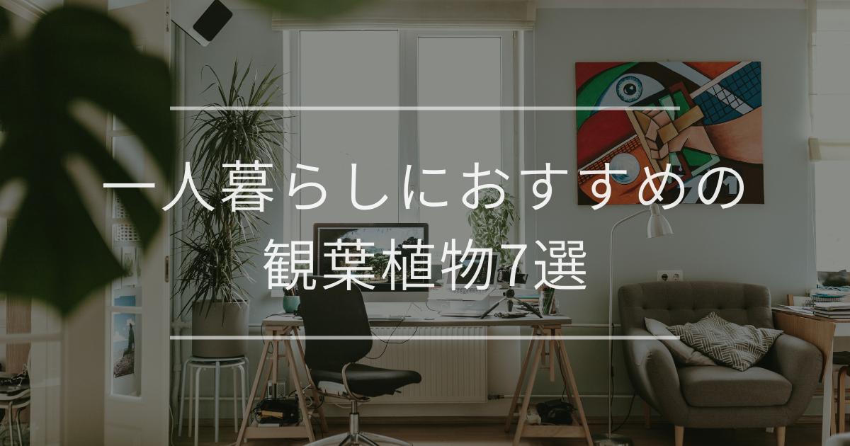 一人暮らしにおすすめの観葉植物7選