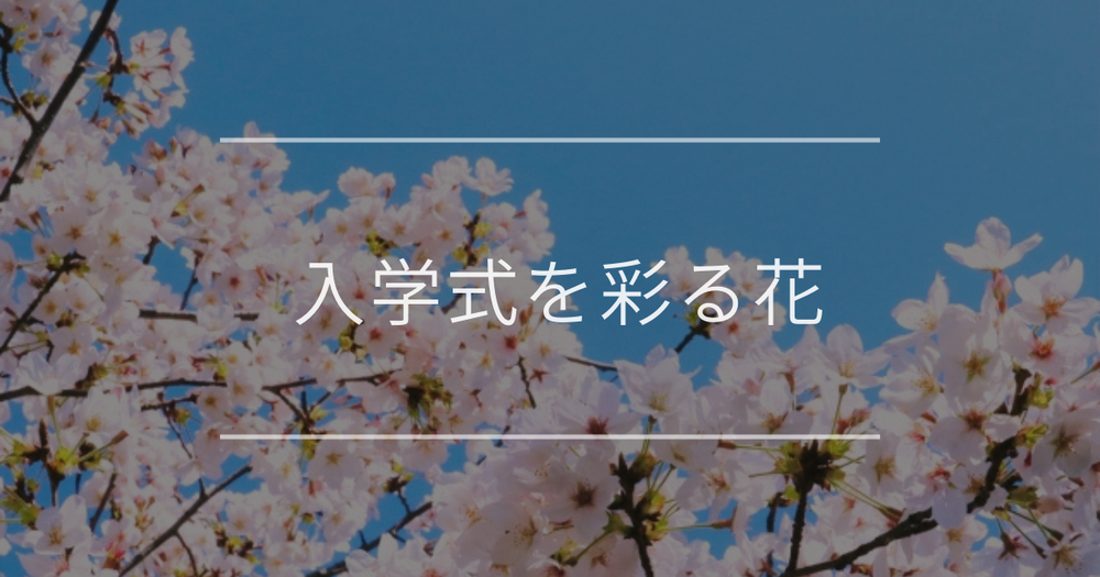 【厳選】子供が喜ぶ入学式の花10選｜花言葉と費用相場
