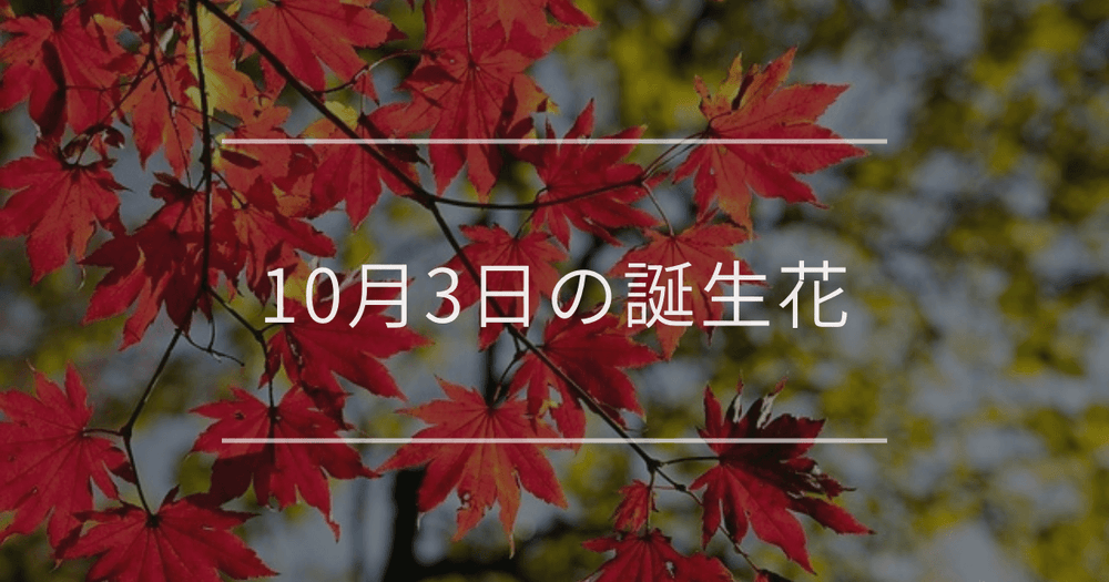10月3日の誕生花：カエデ・ハナトラノオの花言葉など