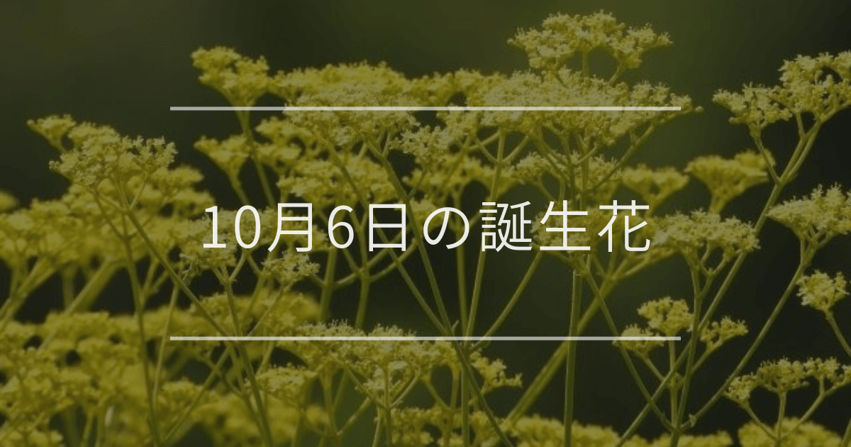 10月6日の誕生花