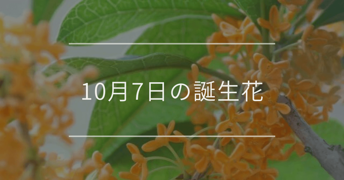 10月7日の誕生花