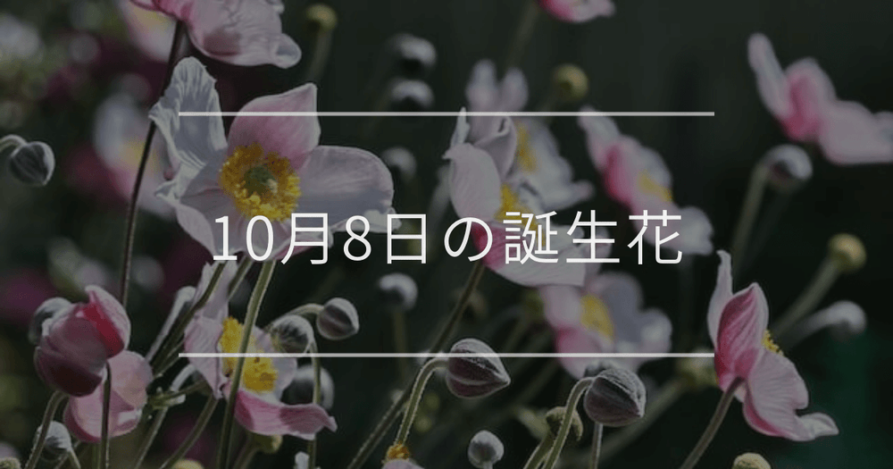 10月8日の誕生花：シュウメイギク・ガウラの花言葉など