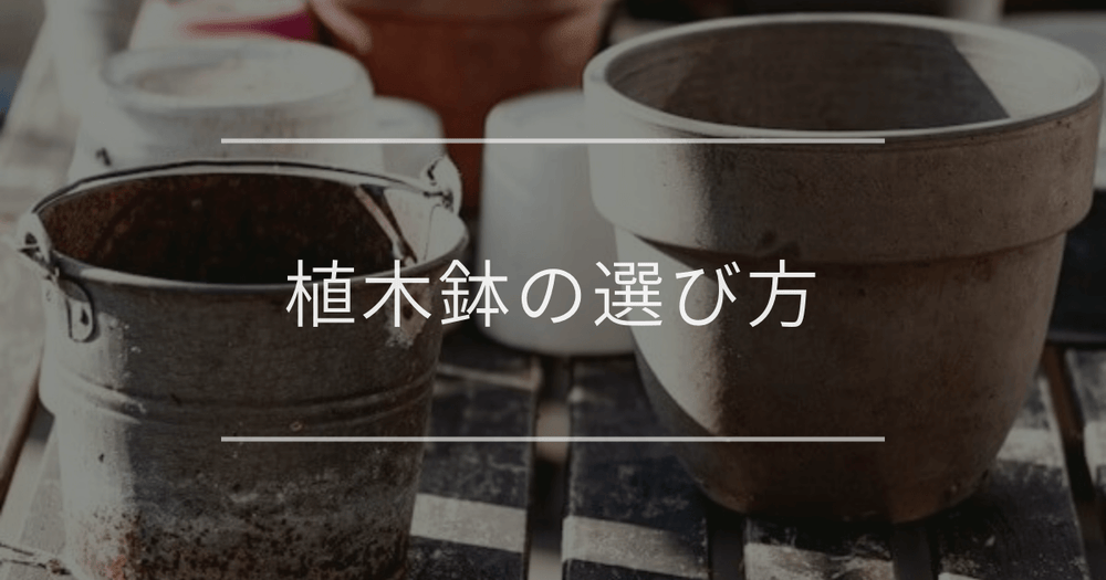 植木鉢の選び方｜サイズや素材別に紹介