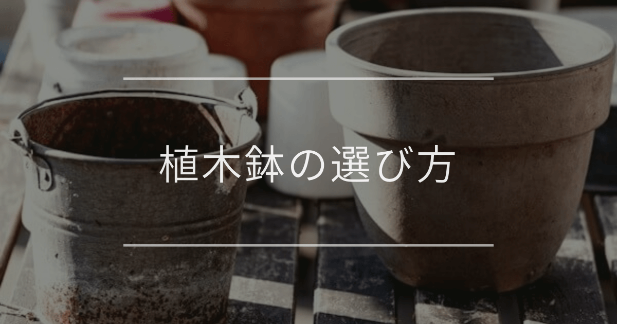 植木鉢の選び方