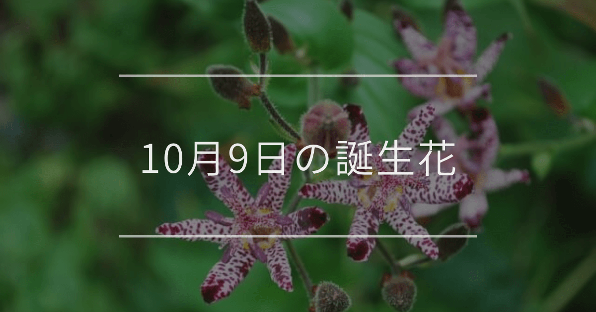 10月9日の誕生花