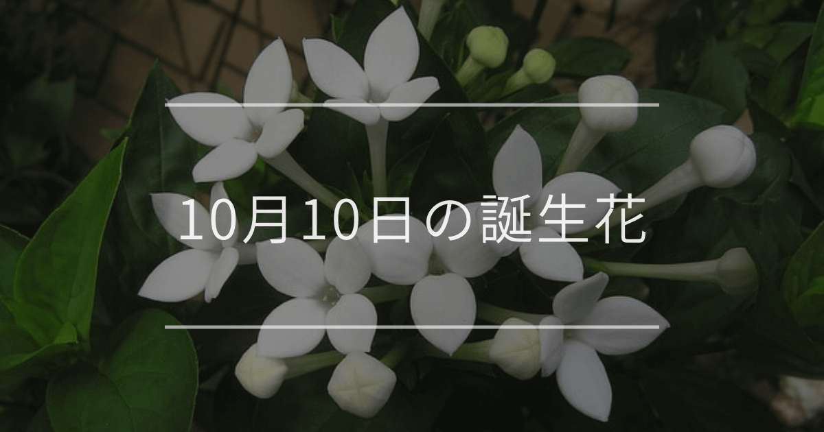 10月10日の誕生花